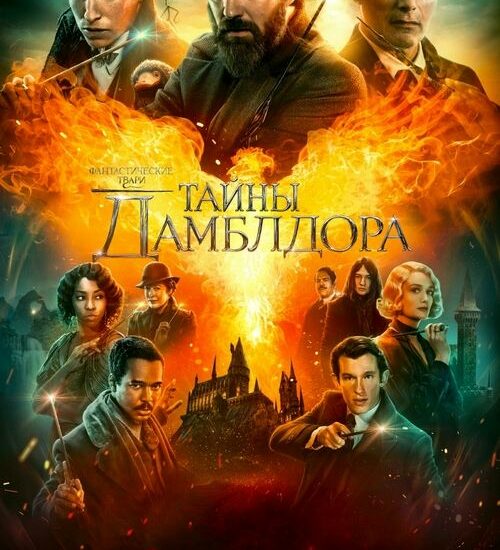 Цитата из «Фантастические твари: Тайны Дамблдора»