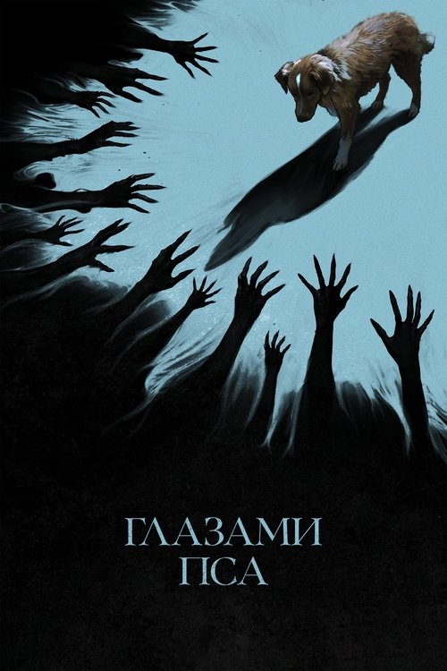 Цитата из «Глазами пса» Цитата из «Глазами пса»